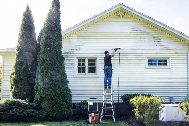 Best Window and Screen Pressure Cleaning in Gordon Heights, NY